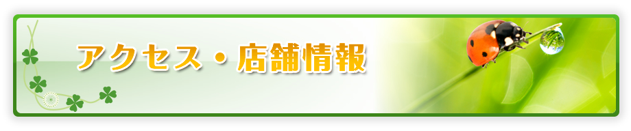 アクセス・店舗情報